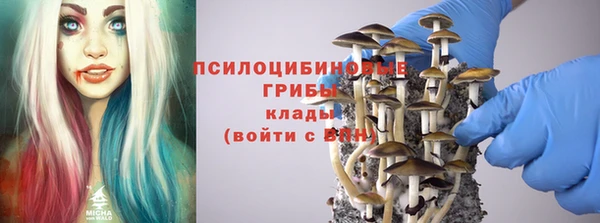 бутират Алексеевка