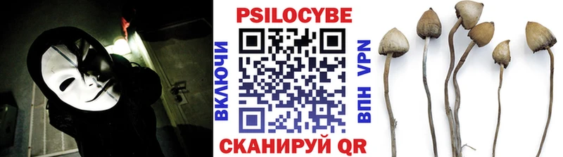 Псилоцибиновые грибы MAGIC MUSHROOMS  hydra ссылки  Гуково  цены наркотик 